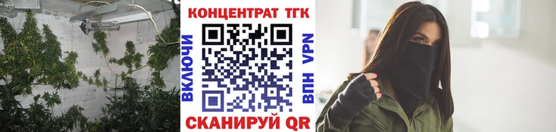 Купить где  Питкяранта  Дистиллят ТГК THC oil 