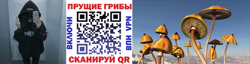 Псилоцибиновые грибы Magic Shrooms  Купить закладки  Питкяранта 